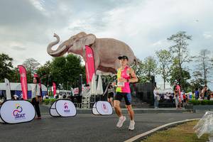 BIB: 
                            <button type="button" onclick="openModal(26528379)" class="btn btn-primary btn-sm float-right btn-popup" data-toggle="modal" data-target=".modal-high-quality">
                        <i class="fas fa-shopping-cart"></i> Add to Cart
                    </button>
                                            <button type="button" onclick="isThisMe(26528379, true)" class="btn btn-success btn-sm float-right btn-popup btn-isme hidden" data-toggle="tooltip" data-placement="bottom" title="นี่คือรูปของคุณใช่ไหม คลิกที่นี่เพื่อเอาเข้าอัลบั้ม">
                        <i class="fas fa-plus"></i> Add to album
                    </button>
                    <button type="button" onclick="isThisMe(26528379, false)" class="btn btn-warning btn-sm float-right btn-popup btn-isnotme hidden">
                        <i class="fas fa-ban"></i> Remove from album
                    </button>